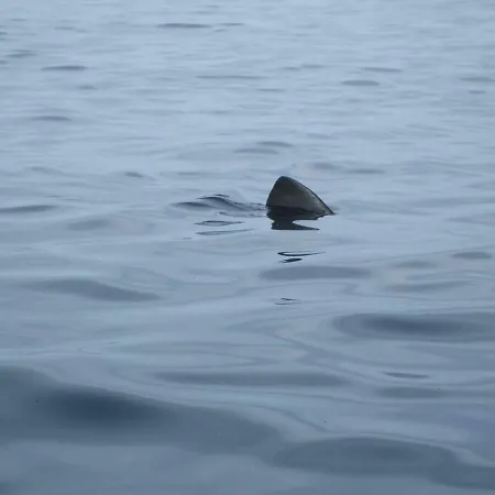 Casa Mar E Sol. Rinboy , Appartement *