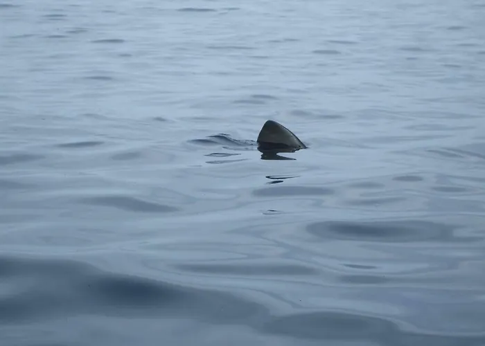 Casa Mar E Sol. Rinboy , Apartamento *